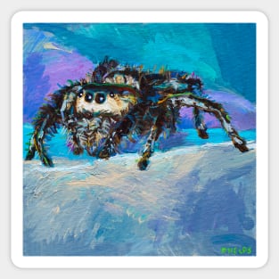 Psychedelic Jumping Spider by Robert Phelps Sticker